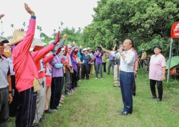 嘉義縣推廣槌球運動　重陽盃長青槌球賽活力登場