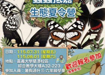 嘉義市暑假推「蟲蟲抵嘉」昆蟲生態營　親近自然探索昆蟲奧秘