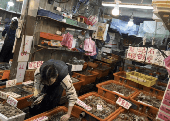 春節走春必去 龜吼漁港市集送好禮 海鮮大餐等你來拿