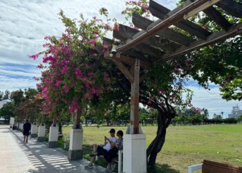 認養漁人碼頭空品淨化區　東石村志工籲民眾愛護環境