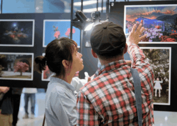 新北萬金杜鵑攝影展6/4登場 限量烏來杜鵑花苗免費送 邀您賞美景、植好樹
