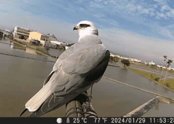 霧峰五福獲選國際裡山倡議2023精選案例 臺灣農村生態再生再獲國際肯定