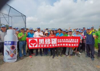 影音/免登農藥資材黑修羅　防治稻熱病、根瘤線蟲達到防治效果