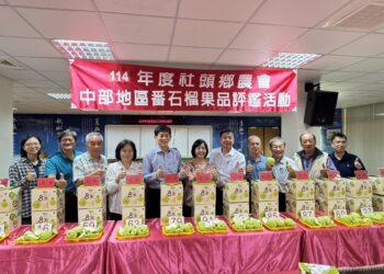 影音/中部優質番石榴果品評鑑競賽 優秀果農齊聚比拚