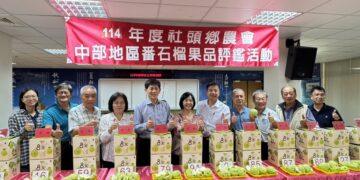 影音/中部優質番石榴果品評鑑競賽 優秀果農齊聚比拚