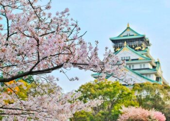 前進日本市場　財茂董事長周訓財：經濟穩定是最大優勢