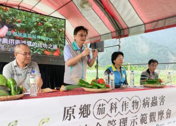 番茄、甜椒及辣椒午後陣雨造成病害迅速擴散　建議農友以清園、輪用藥劑搭配防治