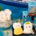 來嘉義東石聽音樂吃鮮蚵 消費集章換限定好禮