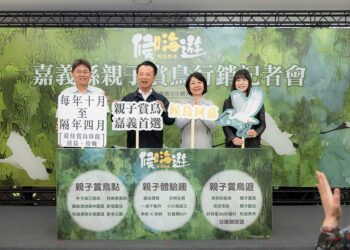 嘉義縣候鳥季登場　推薦一至二日親子賞鳥行程