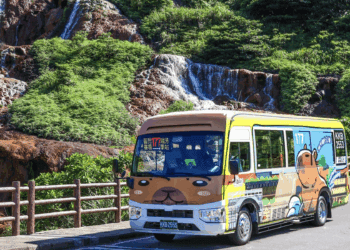 搭177輕鬆玩瑞芳 觀光公車升級迎世壯運「選手免費」!民眾TPASS暢行