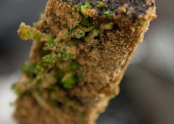 大阪世博外台灣館 豬血糕成亮點