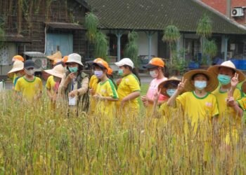 餐桌上的農業永續《食農教育法》　用吃挺臺農