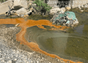 污染曝光 新北河流魚體死亡 廢食用油工廠遭罰最高600萬