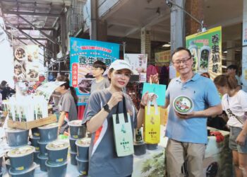 消暑大作戰 古早味仙草禮盒清涼上市