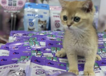 台北寵物展新亮點 聚茂生技推全台唯一犬貓體重管理軟咀嚼錠