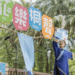 桐花盛開 張善政推「953賞桐攻略」導覽客庄美景
