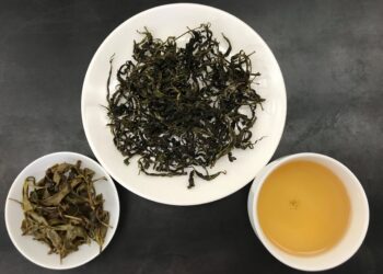 臺灣原生山茶「山蘊」轉身化作清香型烏龍茶 獨具多層次風味及口感