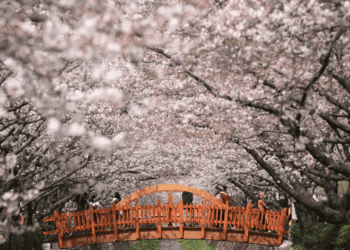 Klook公布2024《亞太區旅遊脈動大調查》 9成旅客傾向與他人出遊