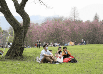 茶迷集合 三峽「Hō你有春」綠茶季 DIY、親子體驗、野餐一次滿足