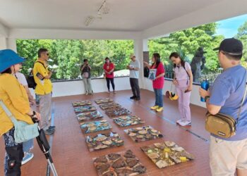藝術漂進生活！2025福爾摩沙北海岸藝術季九月精彩活動登場