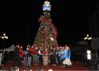 花蓮縣淨零綠生活無名英雄　創意環保耶誕樹成長茁壯了