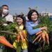 國際台灣胡蘿蔔日行銷雲林農產　上萬民眾體驗拔蘿蔔