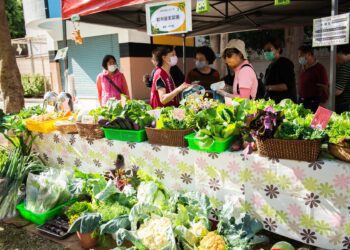 鎮港園耶誕市集暨課程博覽會 12/23二苓國小「港」動登場