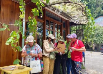 旅讀農村探訪苗栗勝興鐵道覓境、臺南新化林場療癒森呼吸、品味雲林蕃薯社區農村情書卷香！