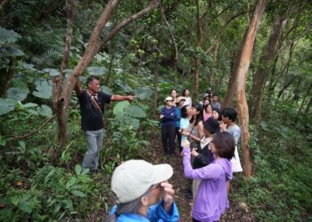 回歸山林走進達魯瑪克　享受舒壓療癒力