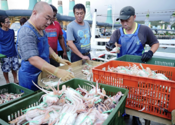 這週末一起嗨 北海岸國際風箏節+富基漁港萬里蟹大餐不可錯過