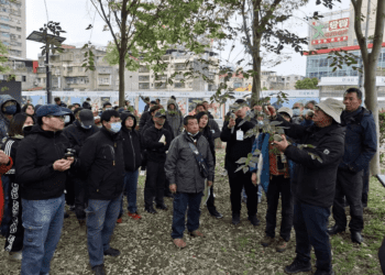 提升綠美化戰力 新北市護樹教育課程5月開訓 即日起受理報名