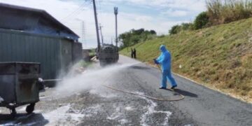 彰化驚傳4豬隻死亡!5關聯場緊急採驗 結果出爐