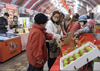 搶先看！板橋農會年貨大街1/31登場 年菜組合市價9折起 農漁特產應有盡有