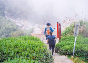 嘉義縣茶園步道與「柴語錄」打卡抽獎只到12月3日　請把握最後機會