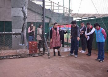 歷年最多職棒賽事將於花蓮開打　徐榛蔚會勘縣立棒球場