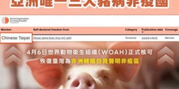 非洲豬瘟防疫成果獲WOAH認證　臺灣重返亞洲唯一「三大豬病非疫國」