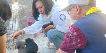 安南區一處外勞宿舍民宅後院疑似養狗宰殺 5隻幼犬後腿全斷拖行防逃跑