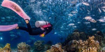守護每一次下海安全 夢想家潛水全新據點開幕 建立高規格海洋教育與安全體系