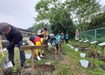 林保署植樹活動 台灣原生樹種一起集點樹進入原鄉