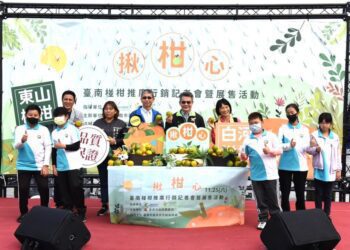 直送台北 「揪，柑心」　臺南椪柑享受酸甜多汁好滋味!