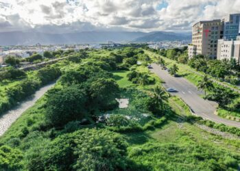 太平溪濕地候鳥認證 來訪鳥類數量與種類漸增