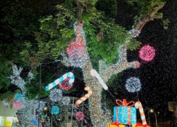 鐵花新聚落下雪了！ 耶誕限定雪花秀周末登場