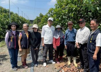 蘇清泉促啟屏東酪梨災害救助 農業部火速公告災損補助上路