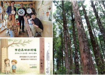 影音/國際森林日的限定祝福 321宜蘭新生兒可得柳杉生長尺