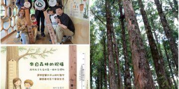 影音/國際森林日的限定祝福 321宜蘭新生兒可得柳杉生長尺