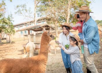 全台小學童有福了！ 抗寒暖心招待六福莊入住不加價