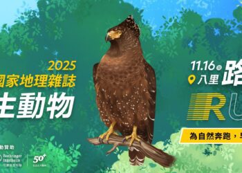 「鷲」你來！2025國家地理雜誌野生動物路跑熱血開報！