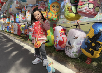 超萌蛇燈來襲 新北小提燈加碼送