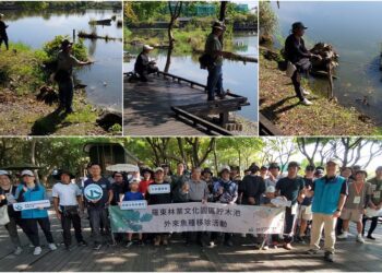 影音∕羅東林業文化園區外來魚種肆虐　70釣手響應移除行動