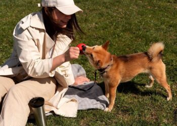 貓狗寵翻天！6大飼養寵物的事前準備指南